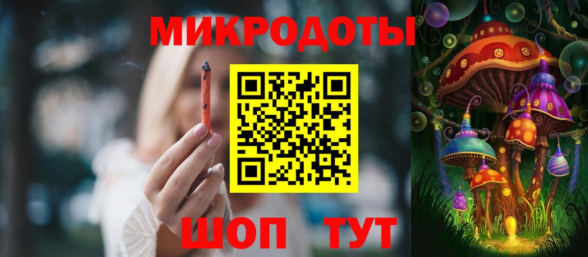 Галлюциногенные грибы Psilocybe Курчалой